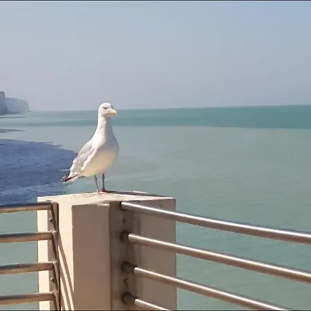 De Charme Pour Les Couples Avec Vue Mer Appartement *